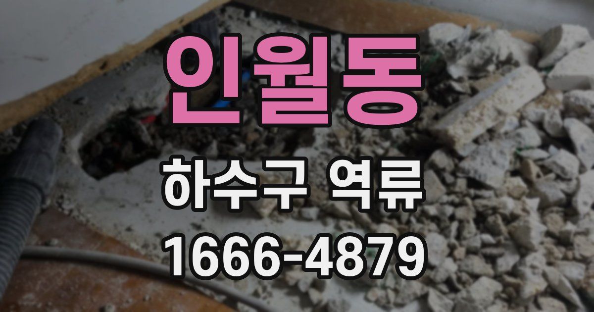 인월동 하수구 역류