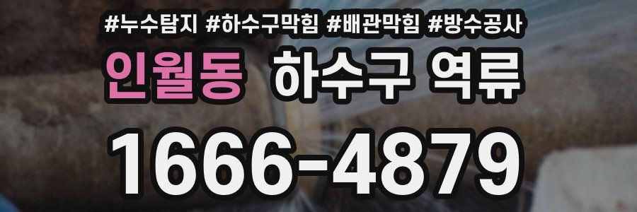 인월동 하수구 역류