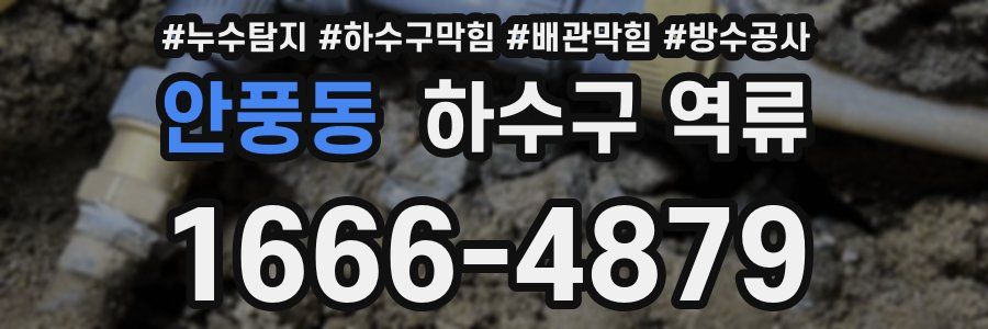 안풍동 하수구 역류
