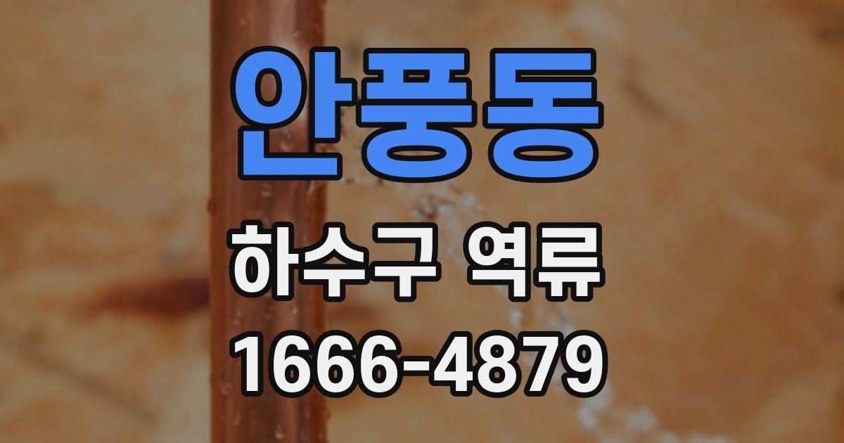 안풍동 하수구 역류