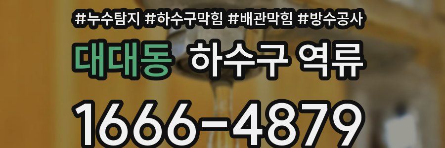 대대동 하수구 역류