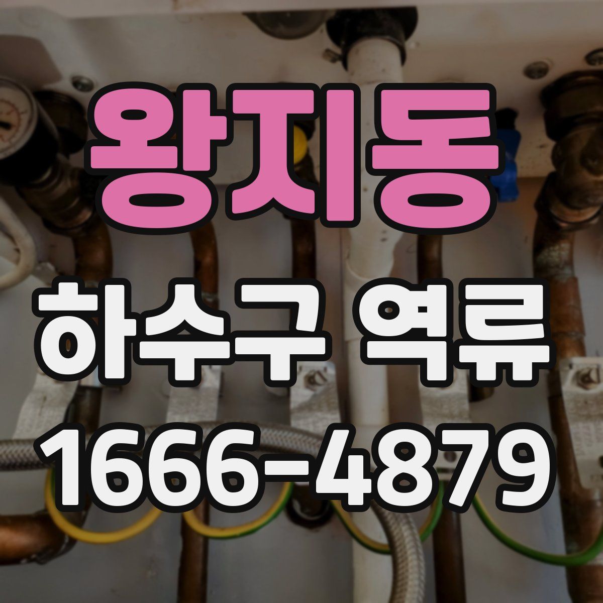 왕지동 하수구 역류