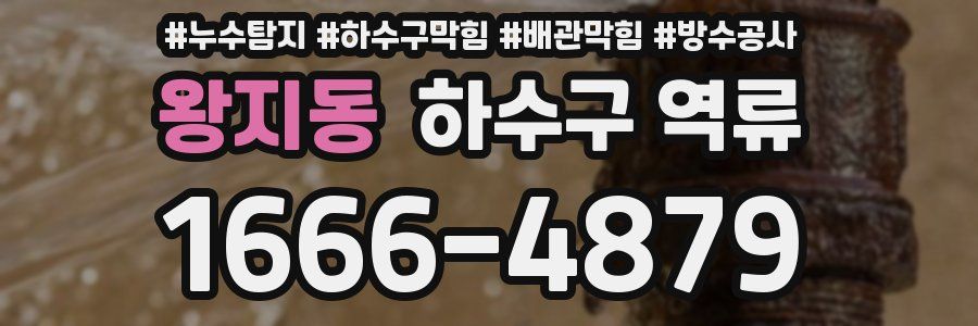 왕지동 하수구 역류