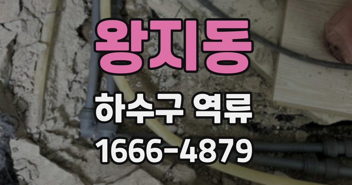 왕지동 하수구 역류