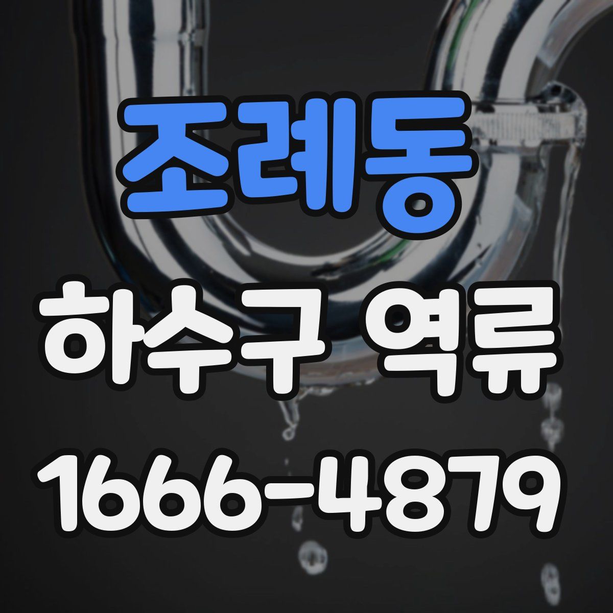 조례동 하수구 역류