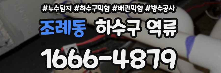 조례동 하수구 역류