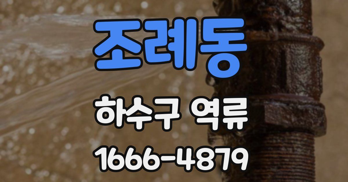 조례동 하수구 역류