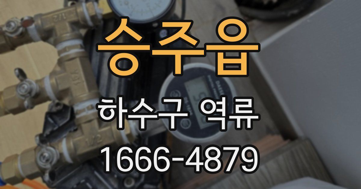 승주읍 하수구 역류