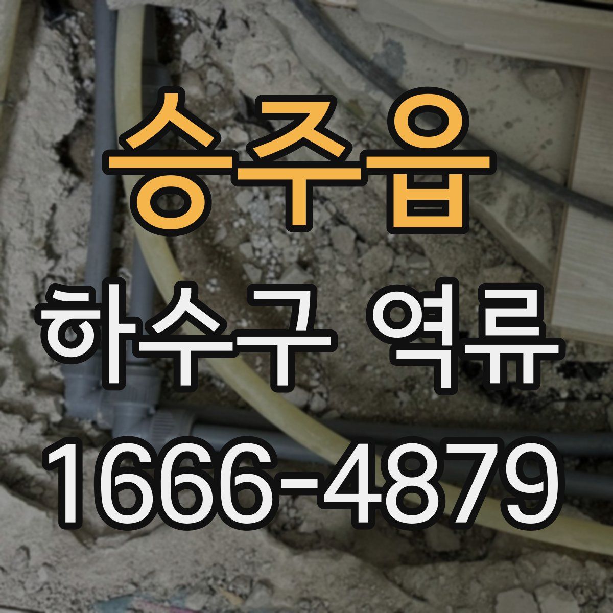 승주읍 하수구 역류