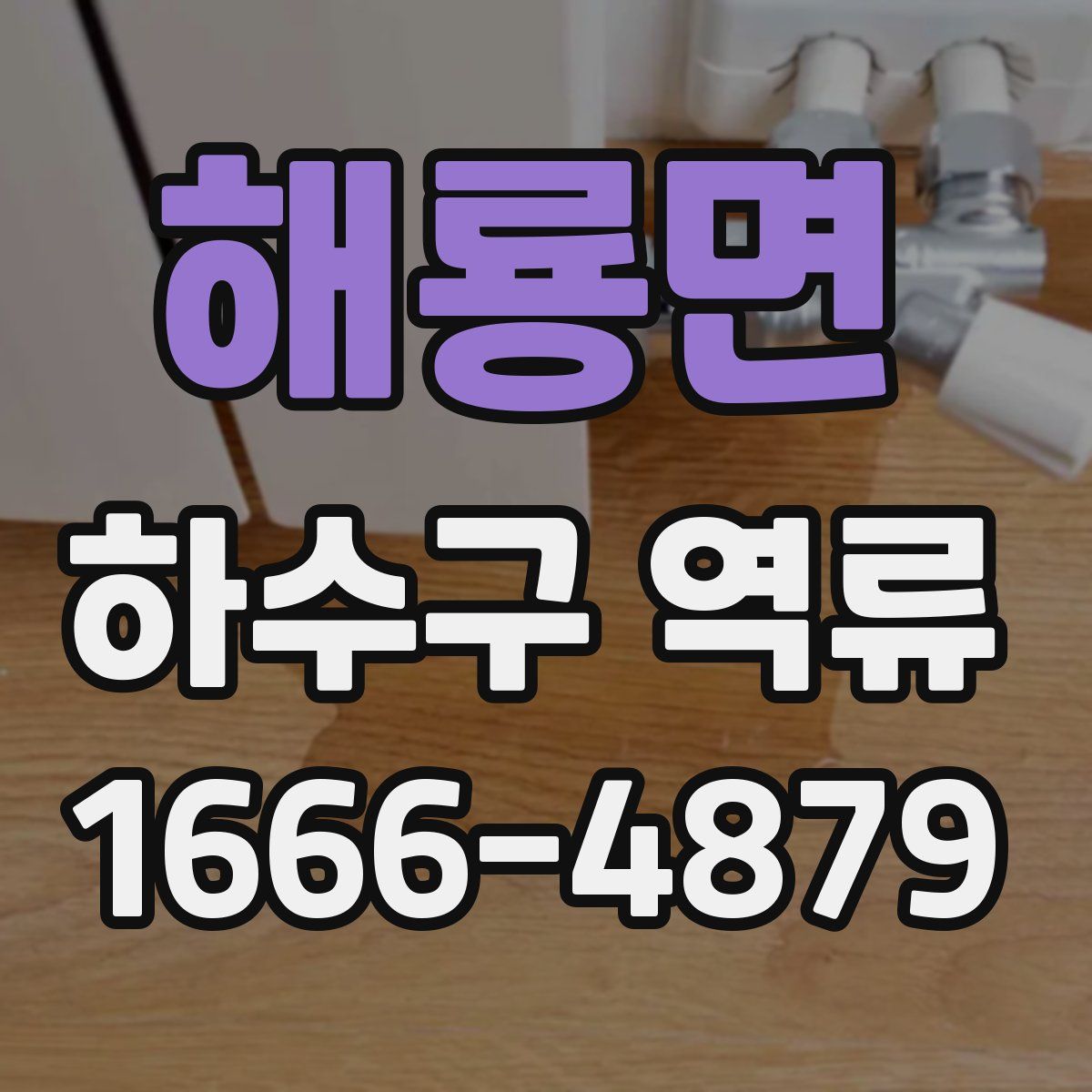 해룡면 하수구 역류