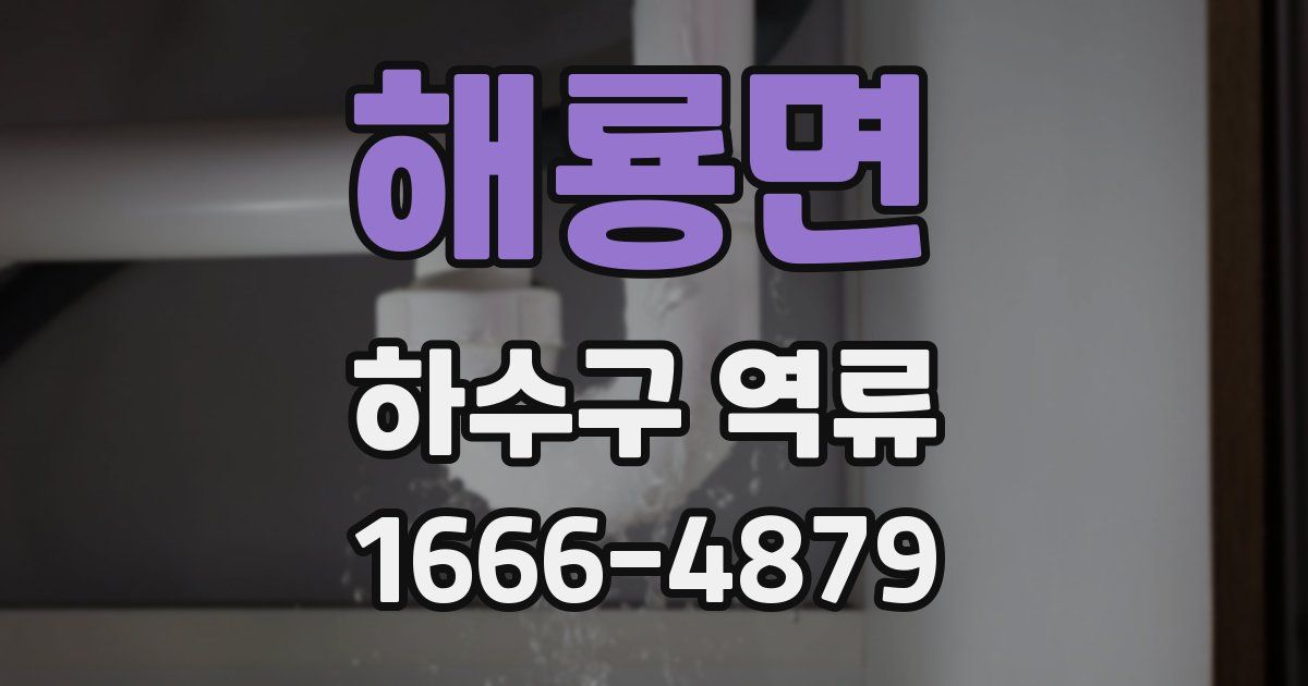 해룡면 하수구 역류