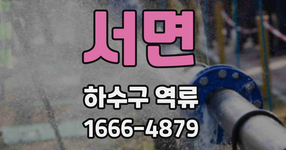서면 하수구 역류