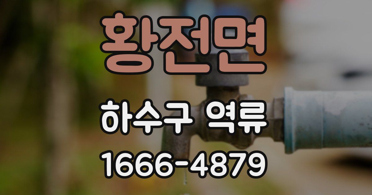 황전면 하수구 역류