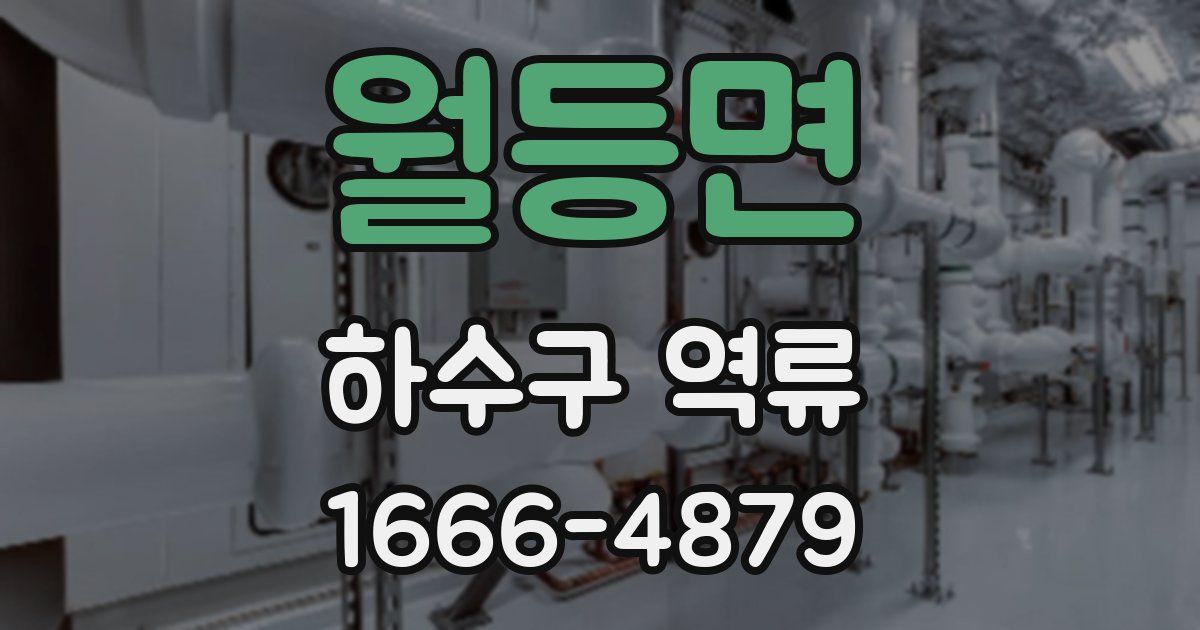 월등면 하수구 역류