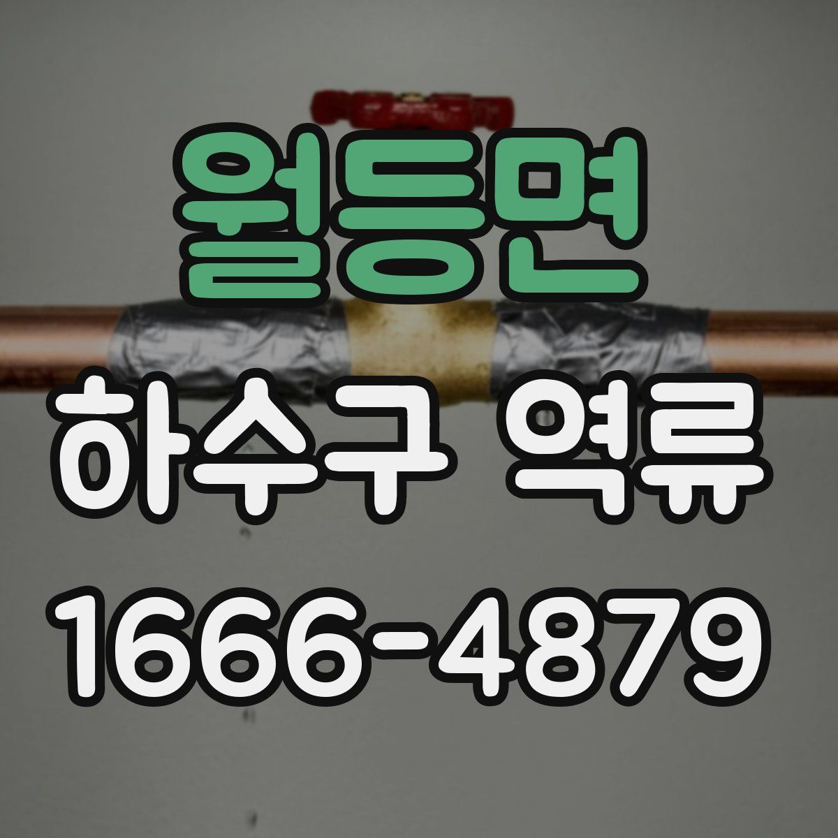 월등면 하수구 역류