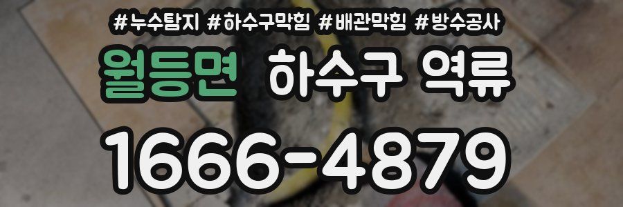 월등면 하수구 역류
