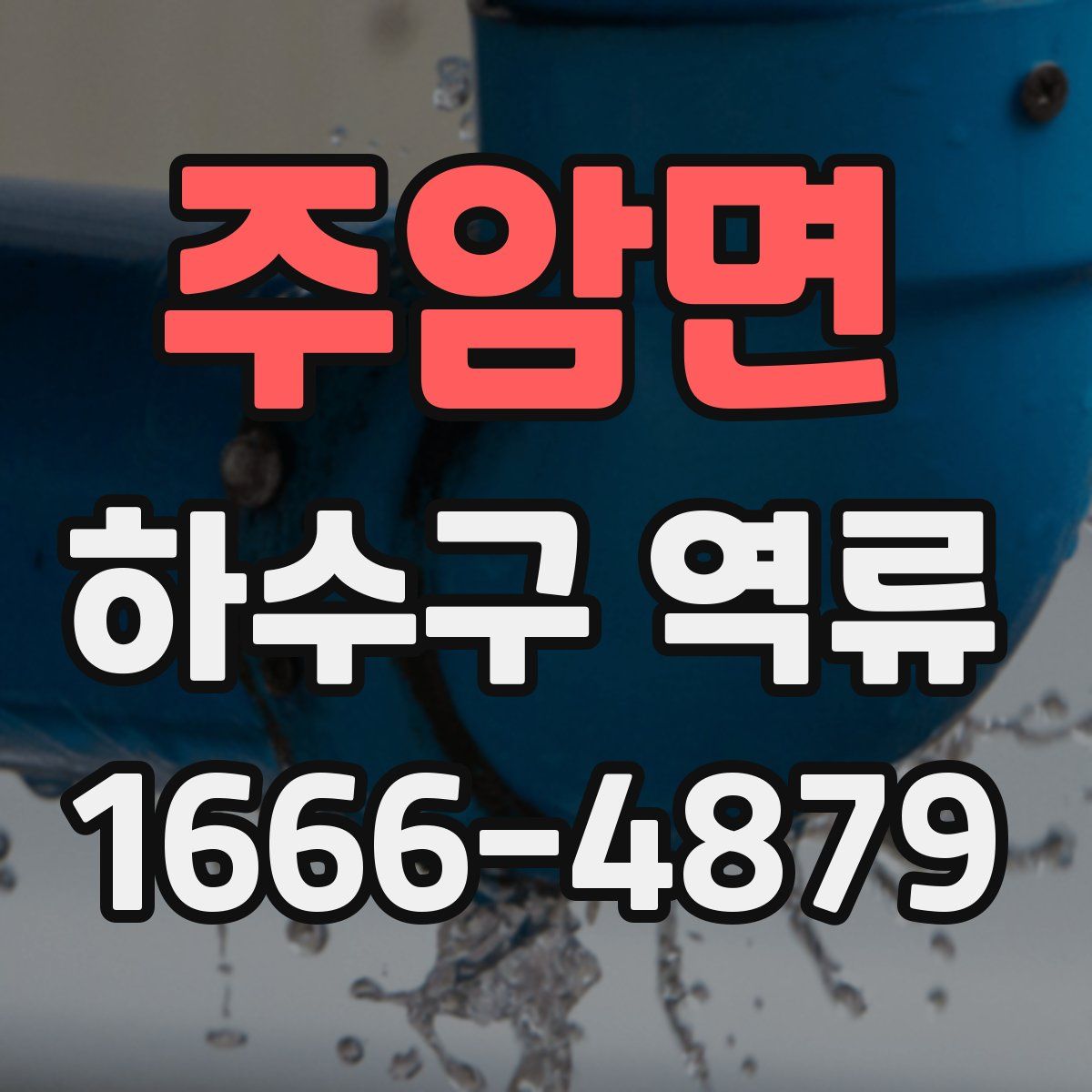 주암면 하수구 역류