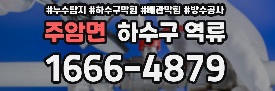 주암면 하수구 역류