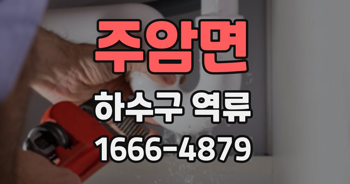 주암면 하수구 역류