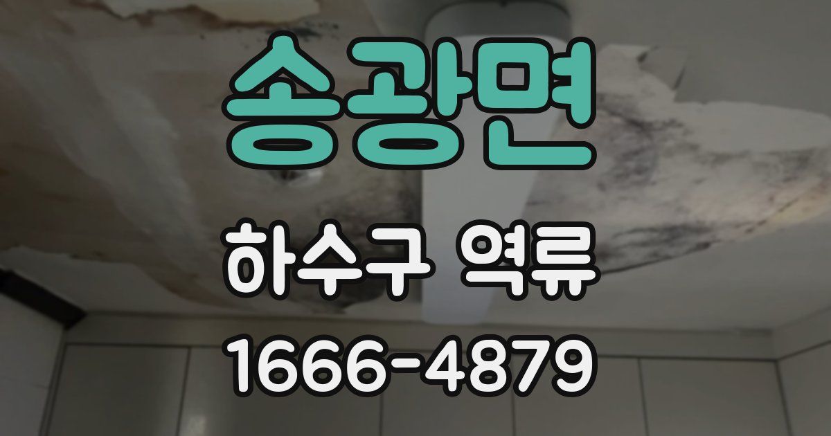 송광면 하수구 역류