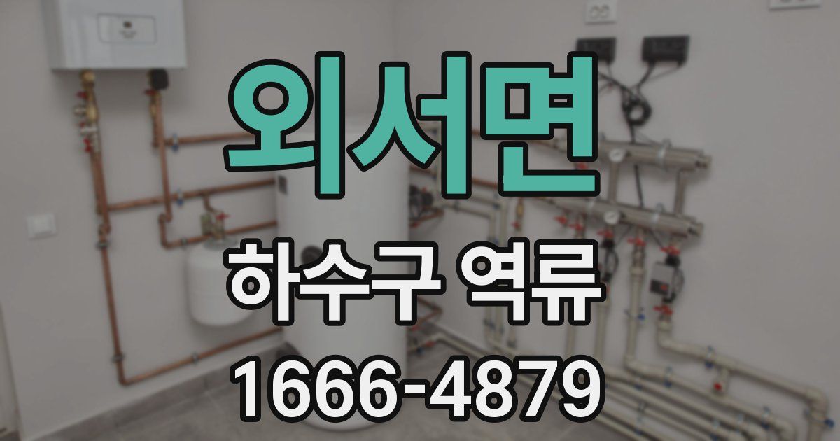 외서면 하수구 역류