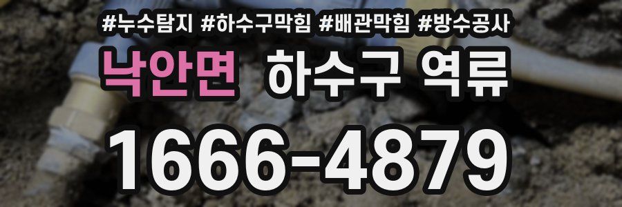 낙안면 하수구 역류