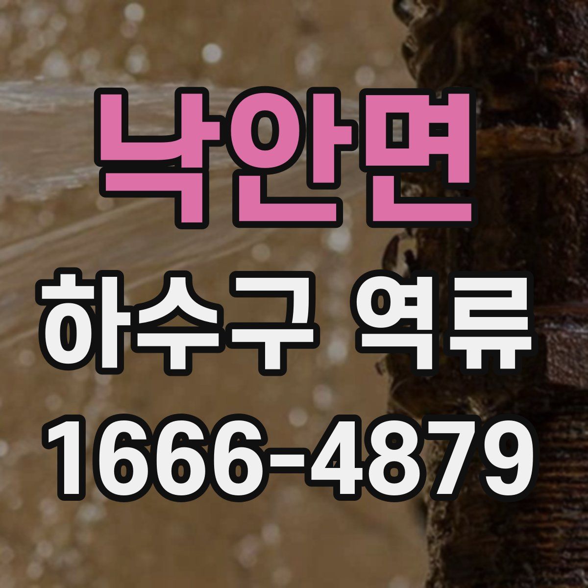 낙안면 하수구 역류