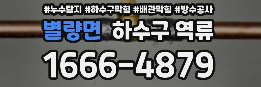별량면 하수구 역류