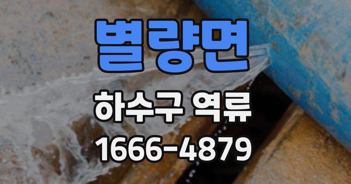 별량면 하수구 역류