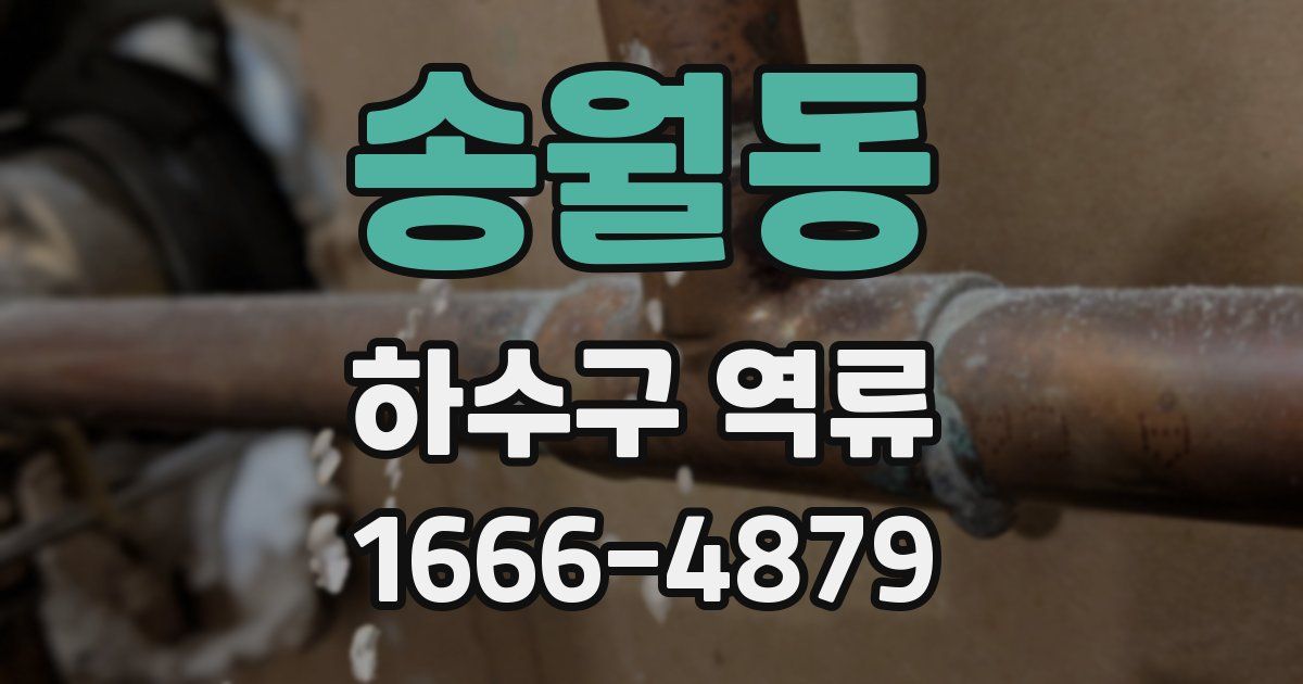 송월동 하수구 역류