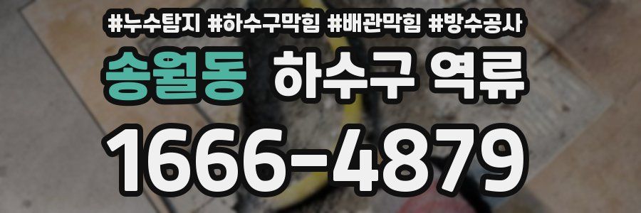 송월동 하수구 역류