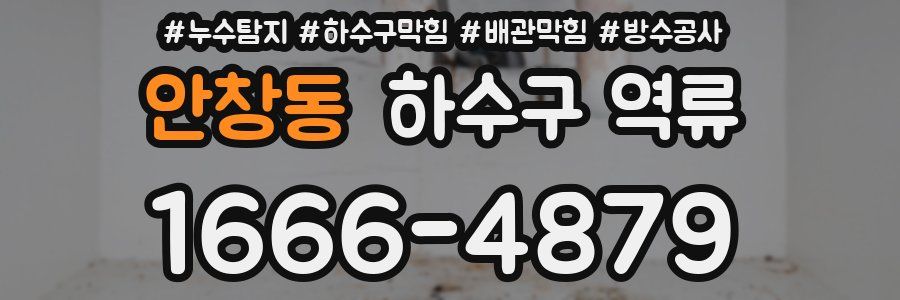 안창동 하수구 역류