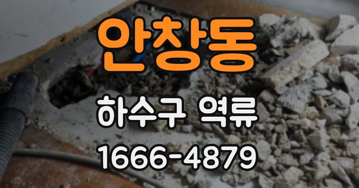 안창동 하수구 역류
