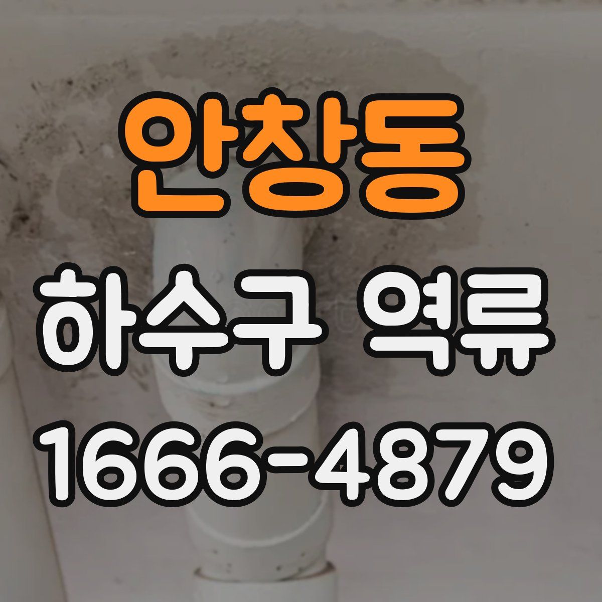 안창동 하수구 역류