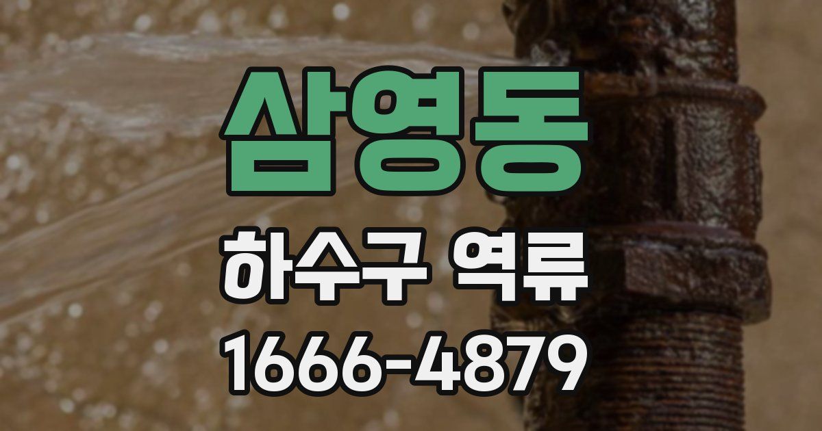 삼영동 하수구 역류