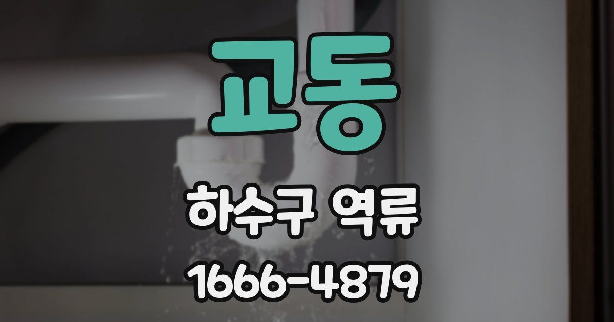 교동 하수구 역류