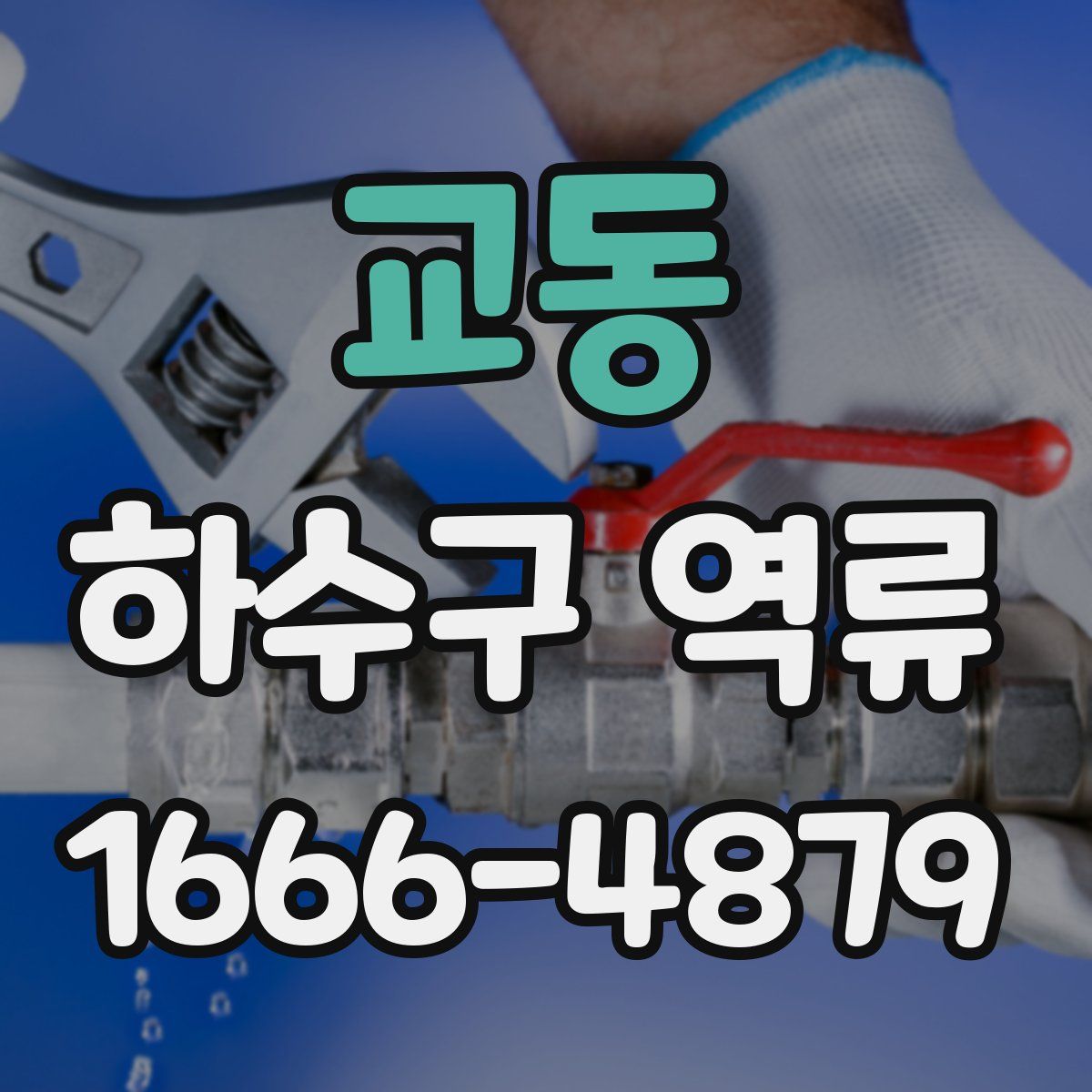 교동 하수구 역류