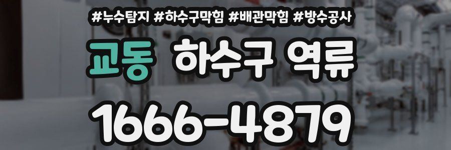 교동 하수구 역류