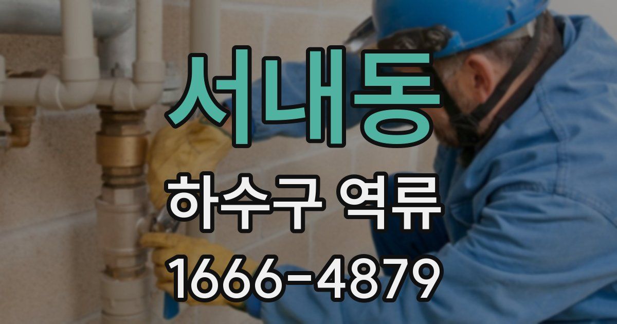 서내동 하수구 역류