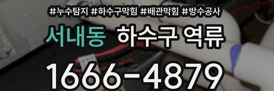 서내동 하수구 역류