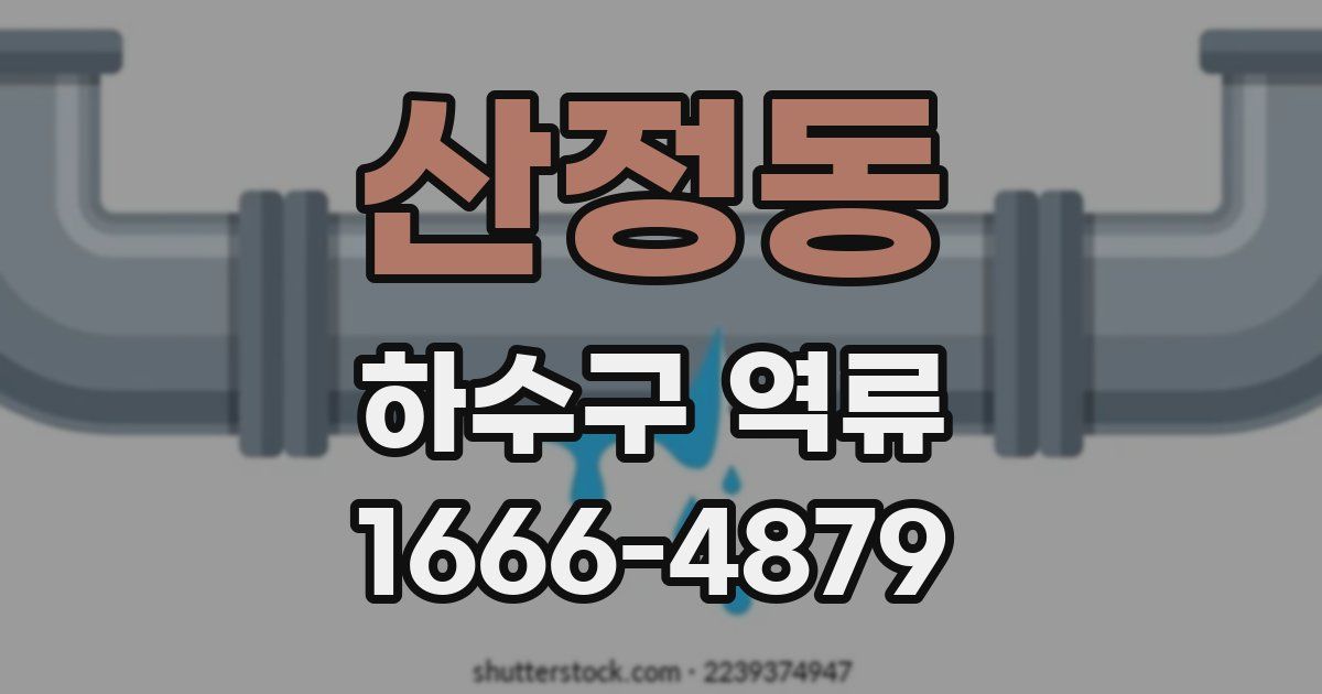 산정동 하수구 역류