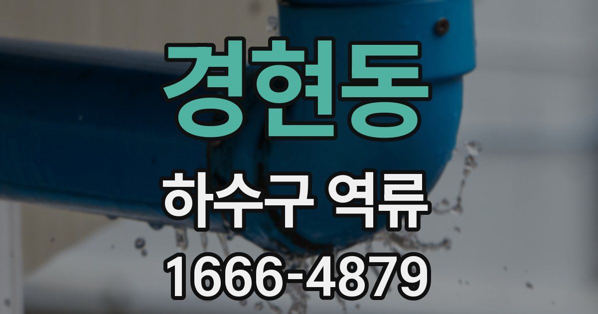 경현동 하수구 역류