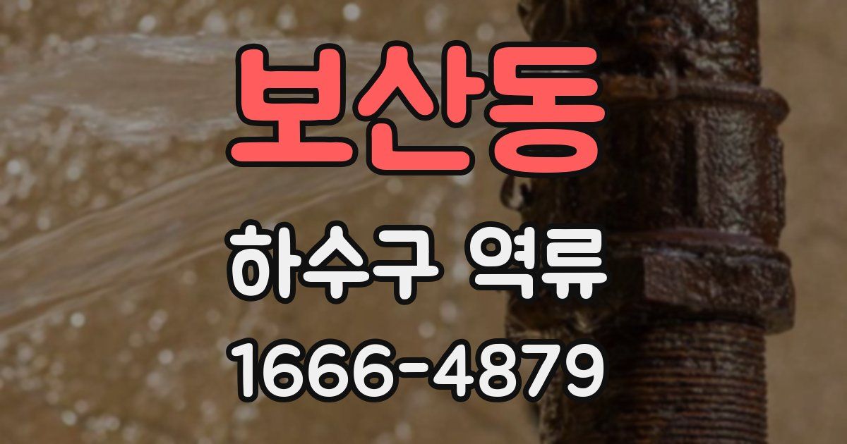 보산동 하수구 역류