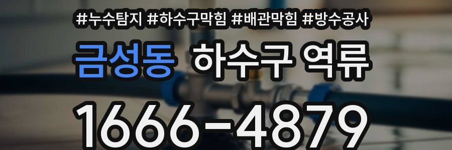 금성동 하수구 역류