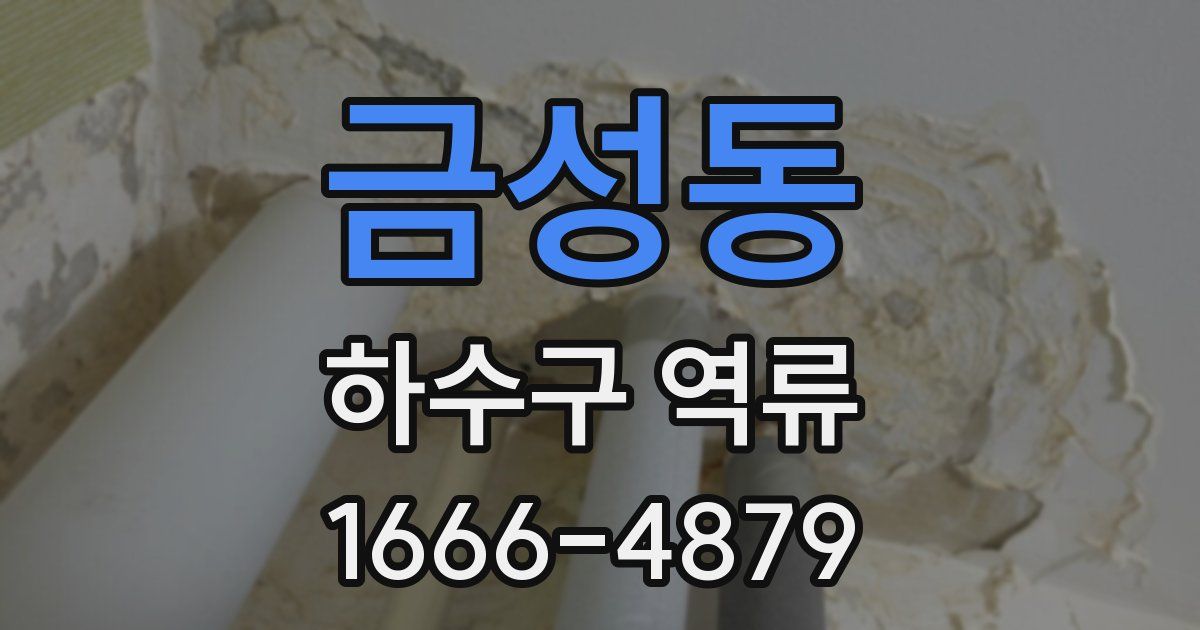 금성동 하수구 역류
