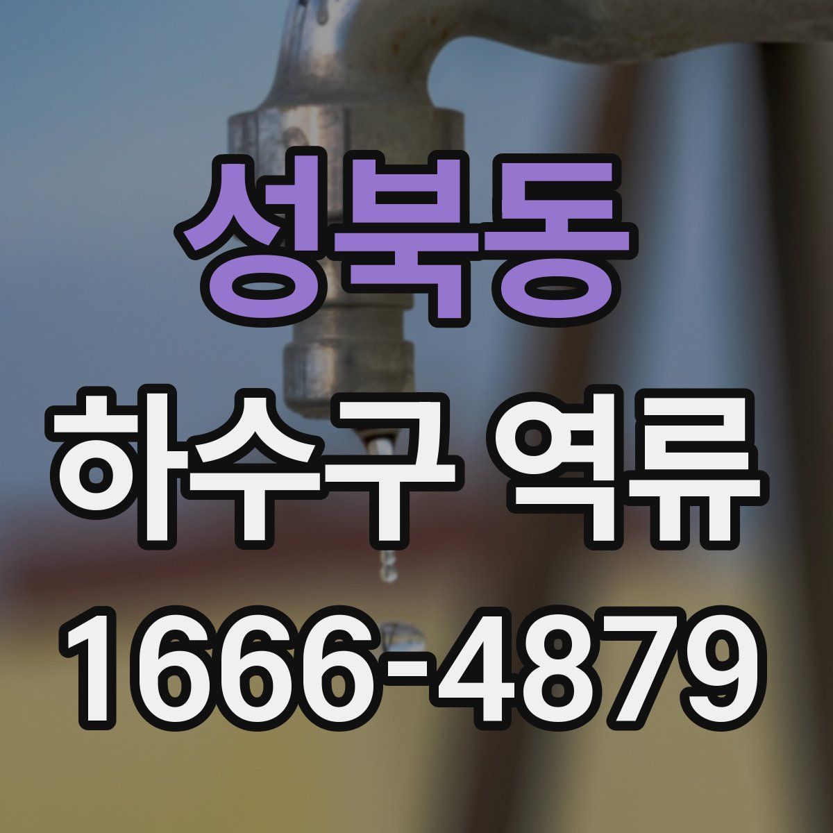 성북동 하수구 역류