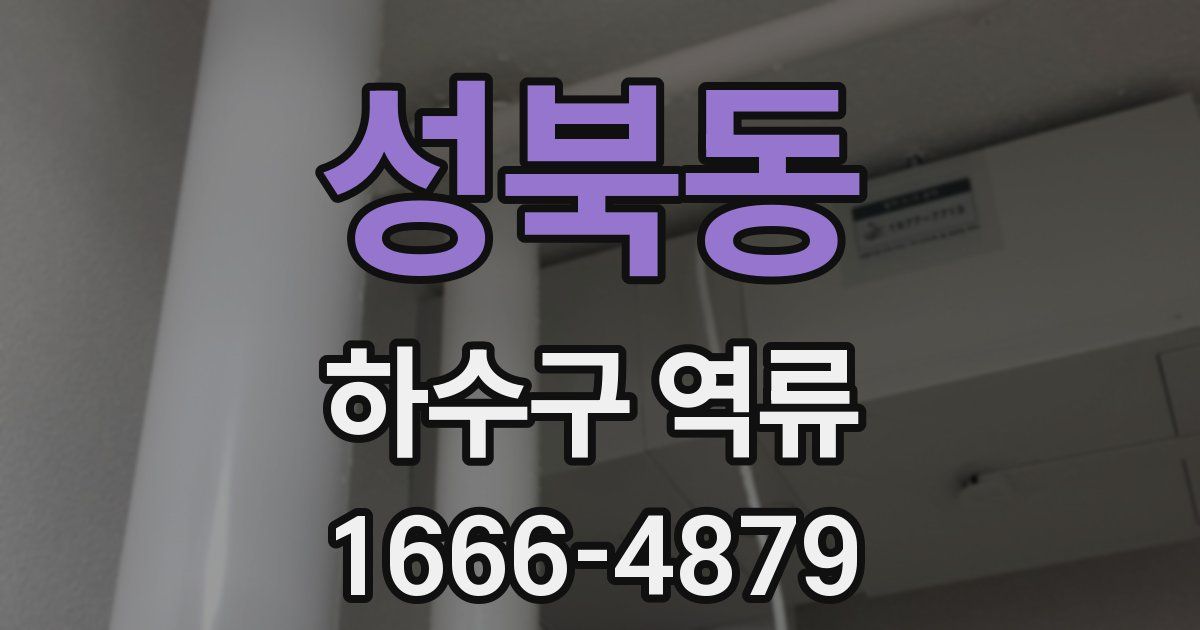 성북동 하수구 역류