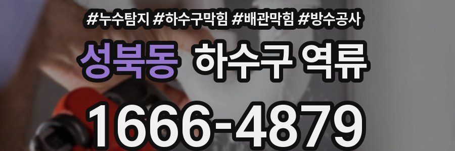 성북동 하수구 역류