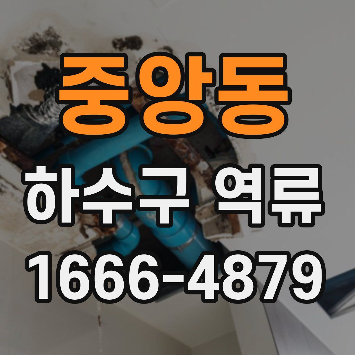 중앙동 하수구 역류