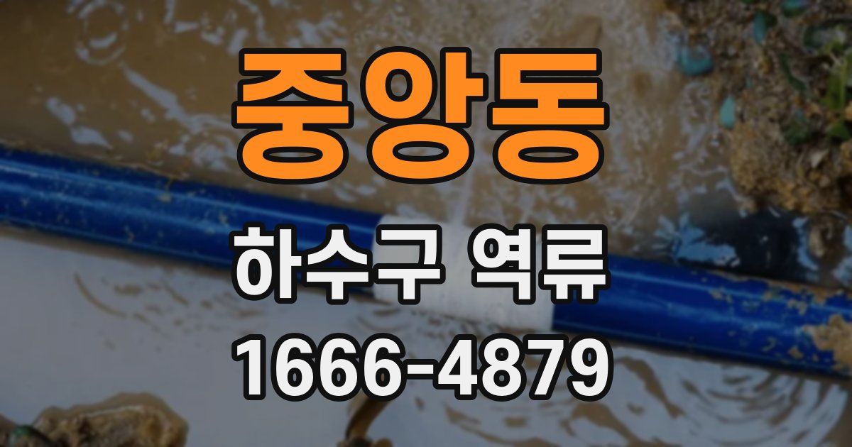 중앙동 하수구 역류